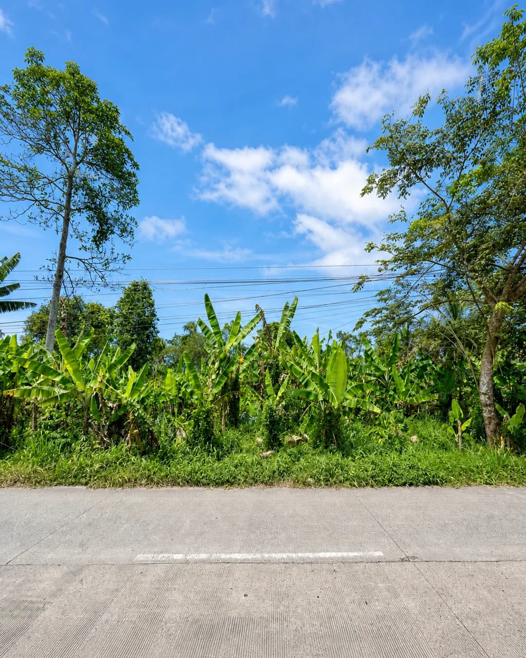Tanah Dijual