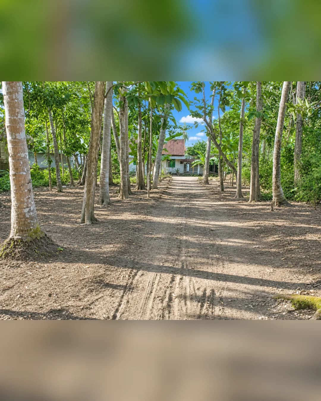 Dijual Pekarangan Luas 1.540 m2 SHM Bonus Rumah di Purwodadi Purworejo
