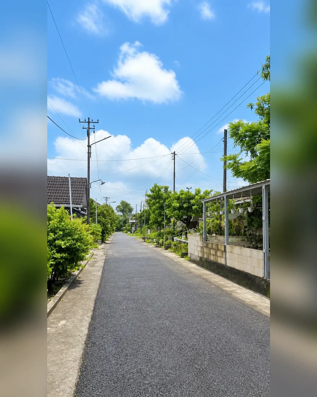 Tanah Dijual di Ngaliyan