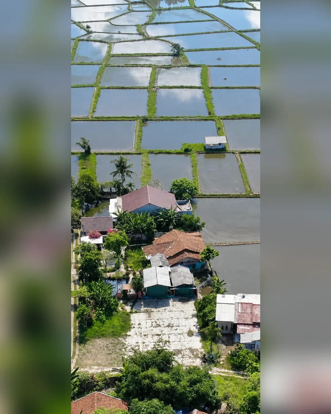 Tanah Kolam Empang Dijual di Ciseeng