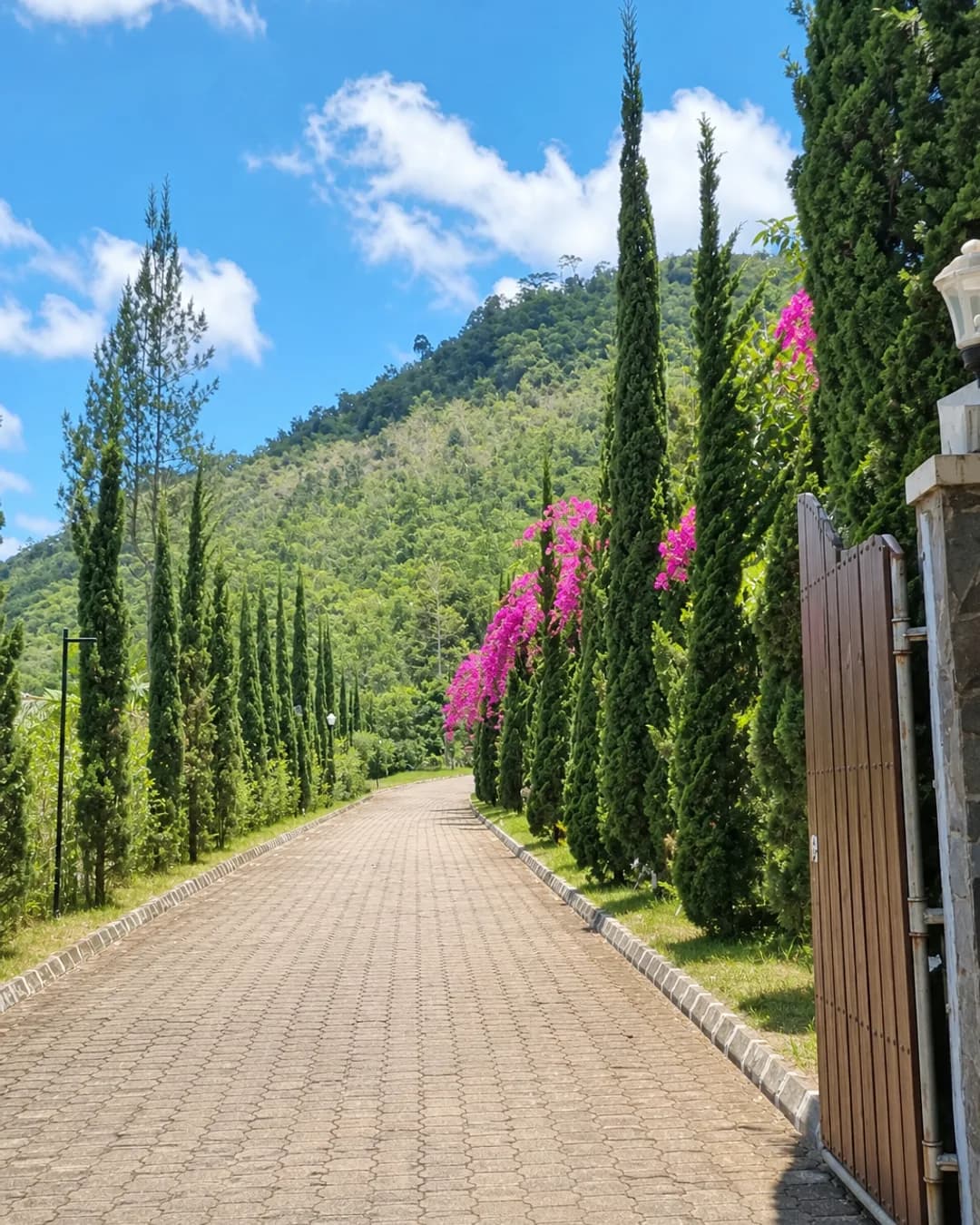 Villa Dijual di Puncak